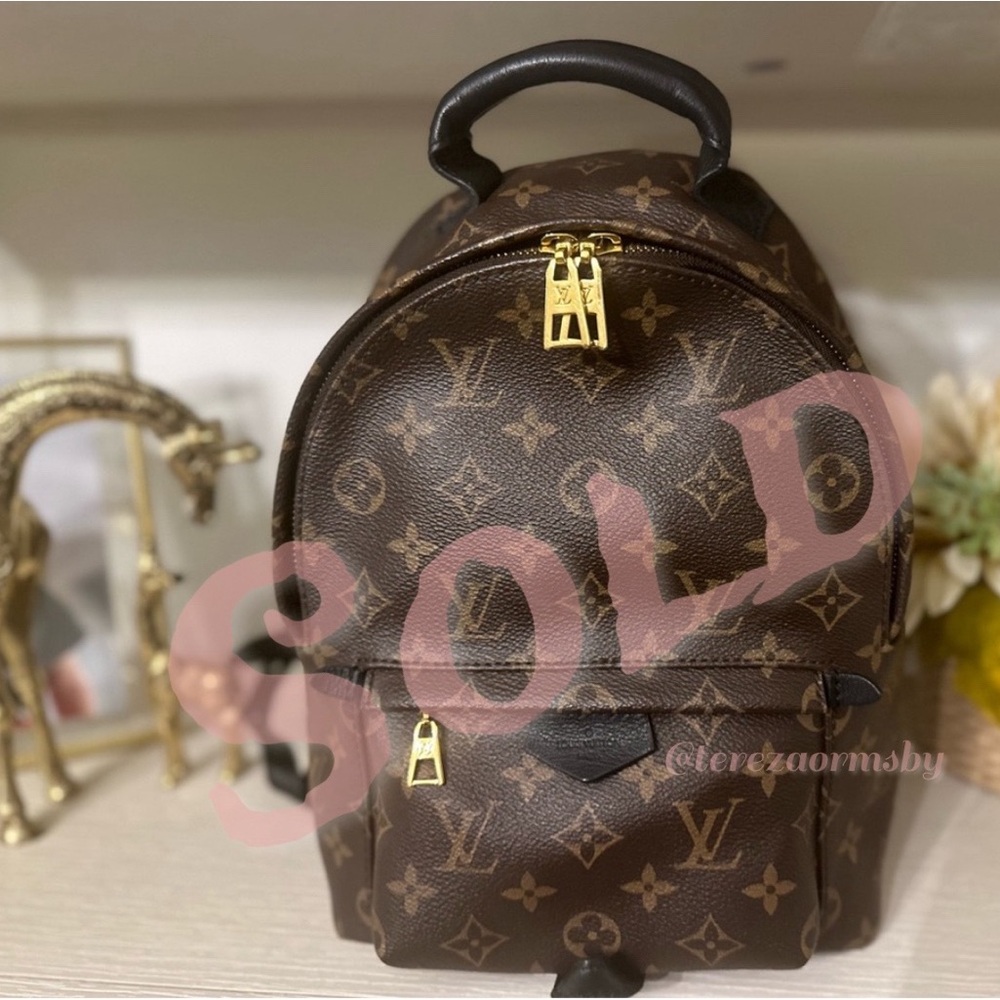 Louis Vouitton PM Palm Springs Backpack